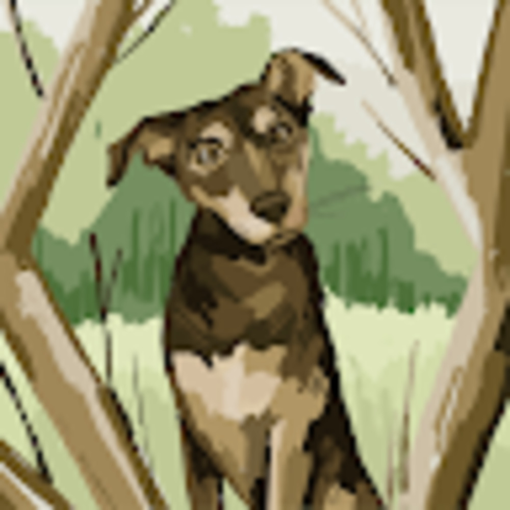 Meet your Posher, J dog